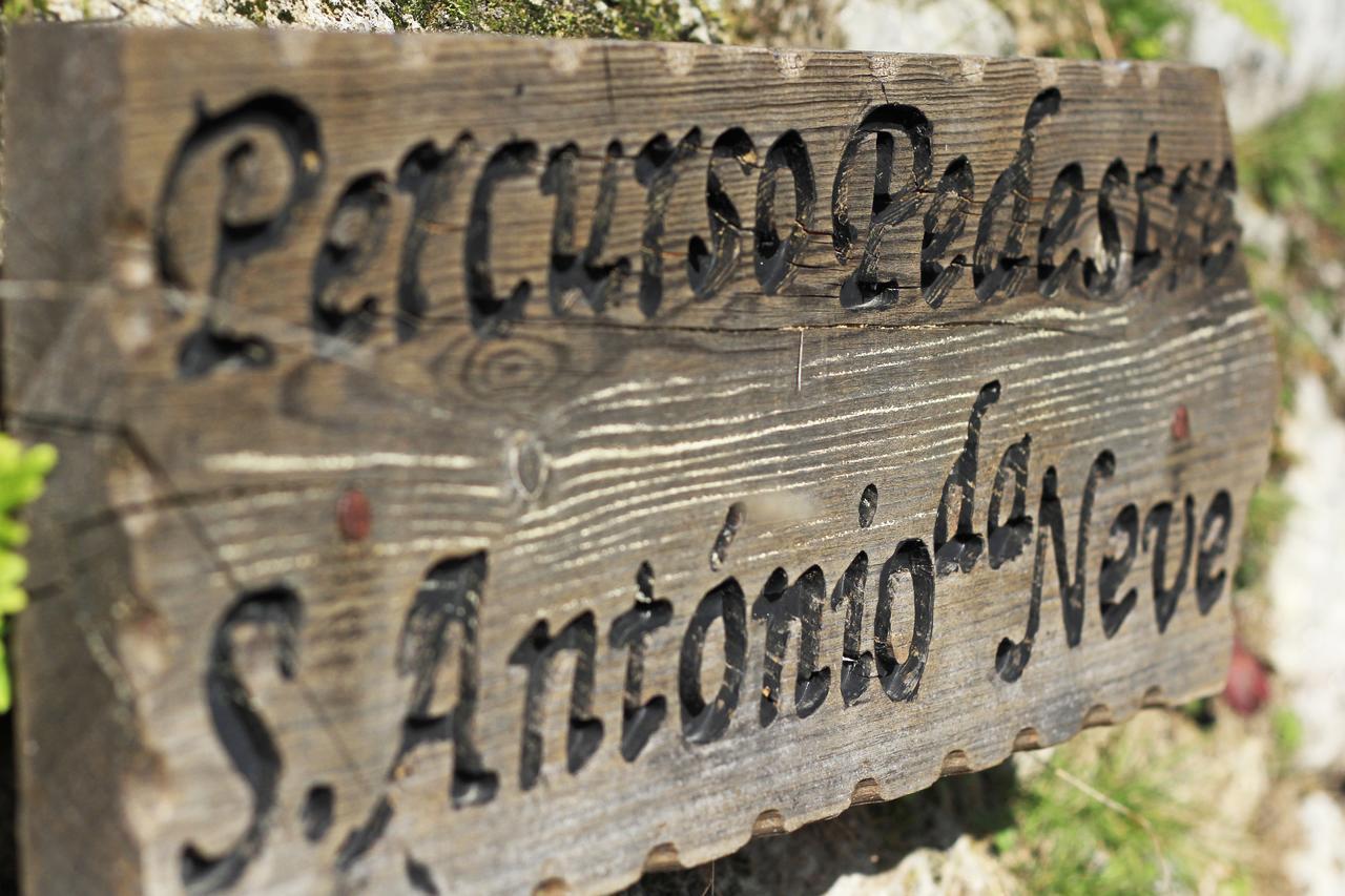 Casa Do Coentral A Sua Casa Rustica Βίλα Lousã Εξωτερικό φωτογραφία